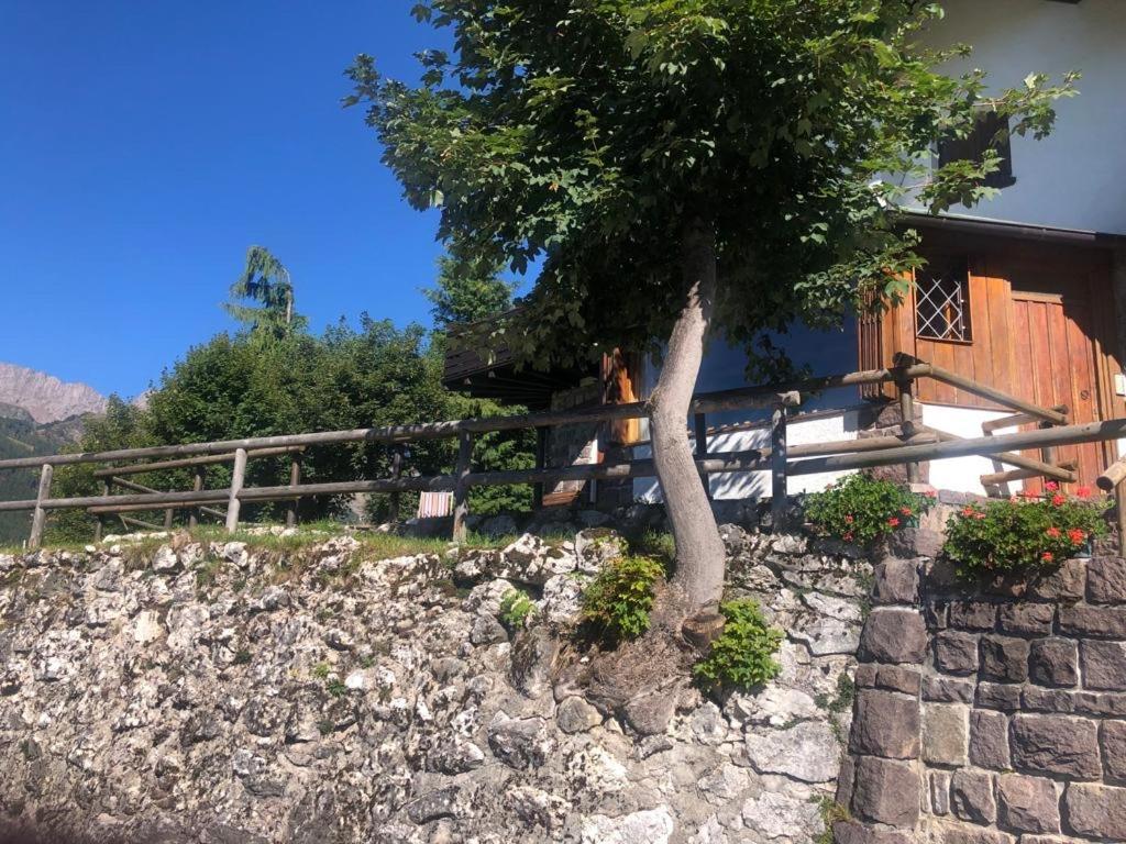 Casa Loria - Appartamento Con Giardino San Martino Di Castrozza Exteriér fotografie